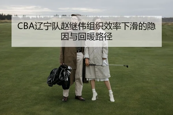 CBA辽宁队赵继伟组织效率下滑的隐因与回暖路径